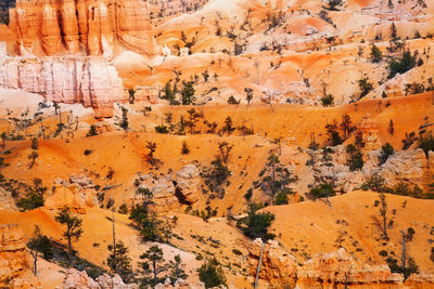 View of rock formations