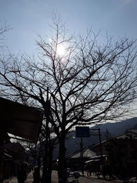 Low angle view of bare tree against sky