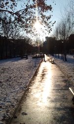 Sun shining through trees in park on sunny day