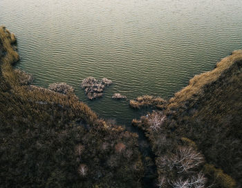 High angle view of crab on beach