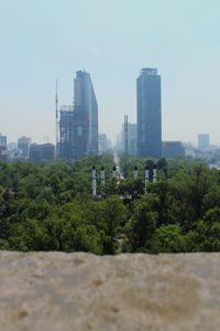 Trees and cityscape against sky