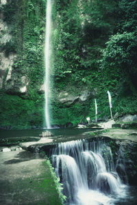 Scenic view of waterfall in forest