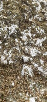 Full frame shot of rocks on beach