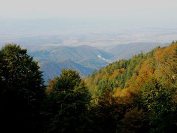 High angle view of trees and mountains in foggy weather