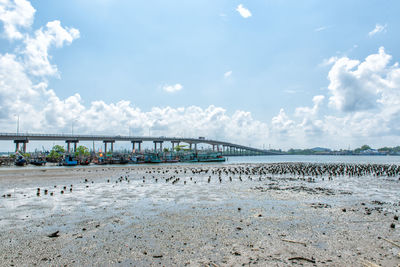 Scenic view of beach against sky