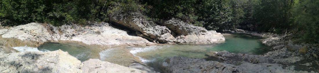 Scenic view of river flowing through rocks in forest