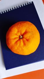 High angle view of orange slice in plate
