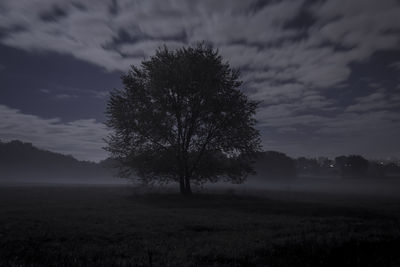 Tree on field against sky