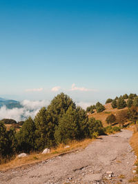 Road amidst trees against sky