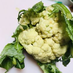 High angle view of vegetables in plate