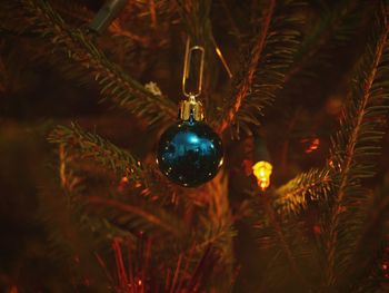 Close-up of illuminated christmas tree at night