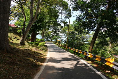 Trees in park against sky