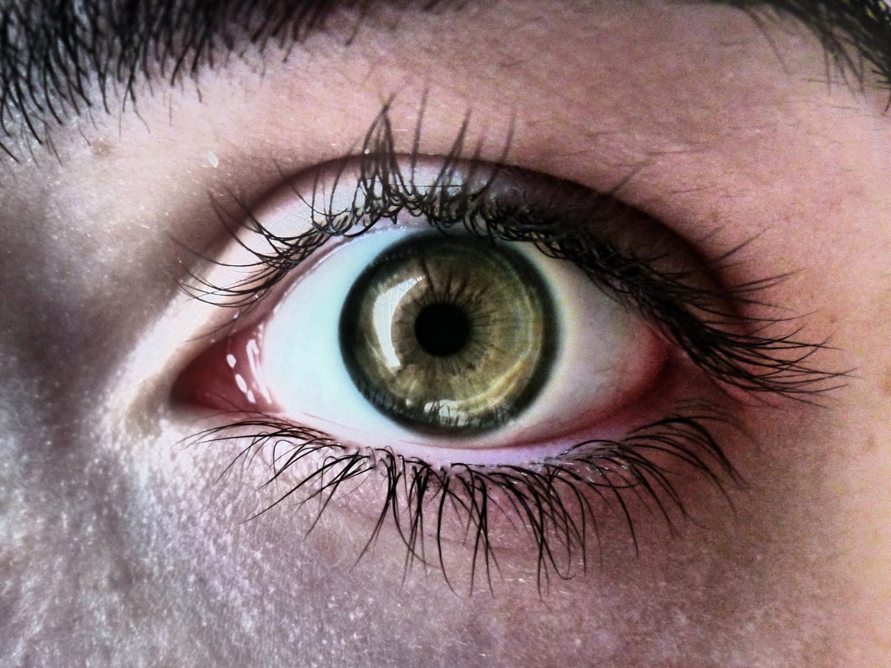 human eye, eyelash, human body part, eyesight, eyeball, one person, close-up, iris - eye, looking at camera, eyebrow, human skin, sensory perception, real people, portrait, day, outdoors, adult, people, adults only