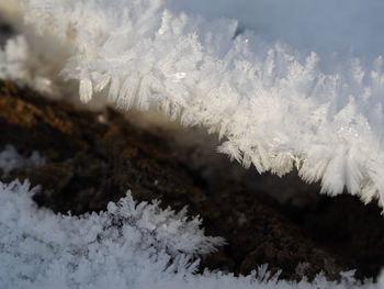 Close-up of snow on sunny day