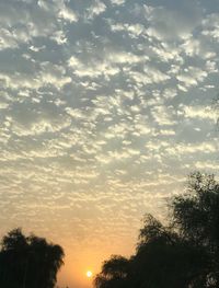 Low angle view of silhouette trees against sky during sunset