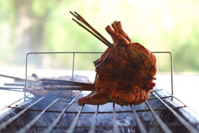 Close-up of meat on barbecue grill