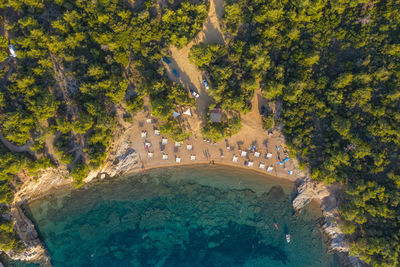 Aerial drone view of beach umbrellas and sunbeds on the coast in thassos island, greece