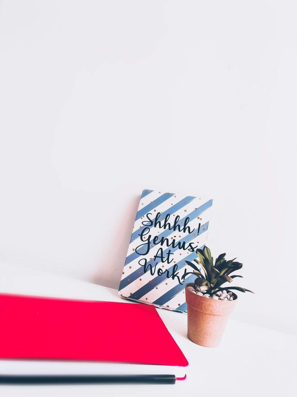 CLOSE-UP OF POTTED PLANT ON TABLE