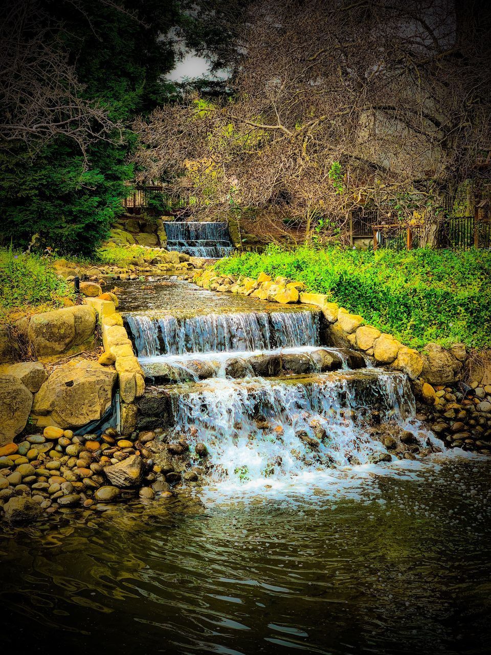 PLANTS GROWING BY RIVER STREAM