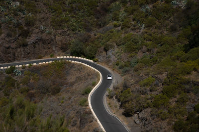 High angle view of winding road amidst trees