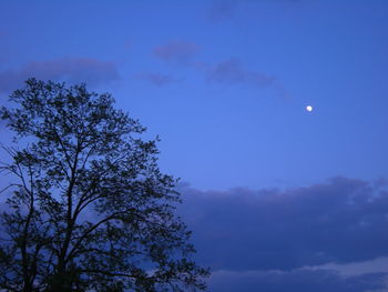 Low angle view of trees against cloudy sky