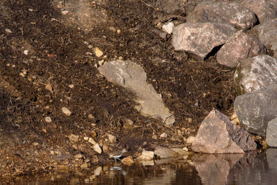 Close-up of stones in sea