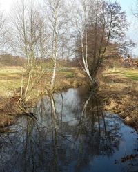 Reflection of trees in lake against sky