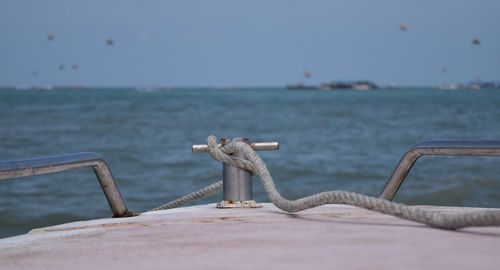 Close-up of bird on harbor against clear sky