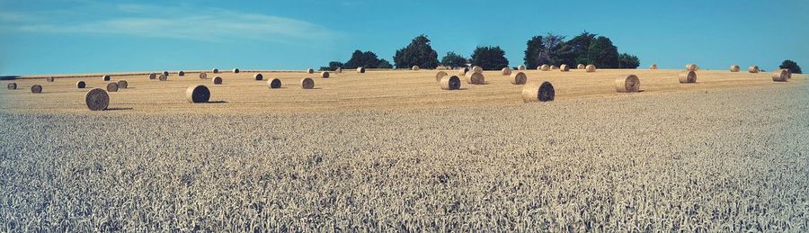 Hay bales on field against sky