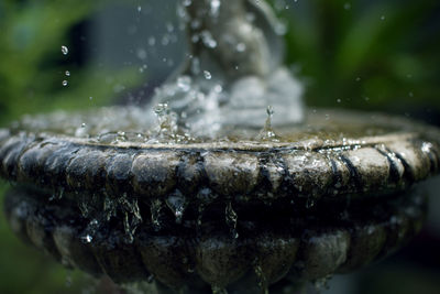 Close-up of water drop falling on fountain