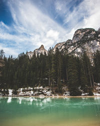 Scenic view of lake by trees against sky