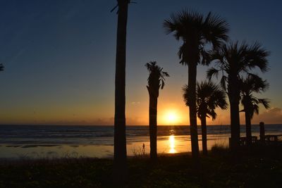 Silhouette palm trees on beach against sky during sunset