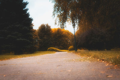 Road amidst trees against sky during autumn