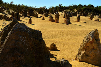 Panoramic view of rocks in sunlight