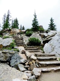 Steps leading towards stone wall