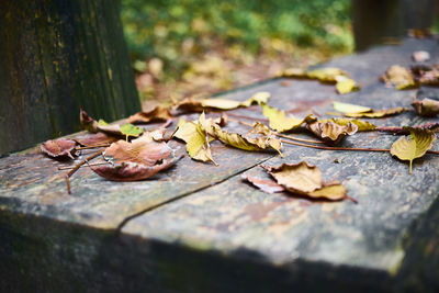 Close-up of dried leaves on footpath