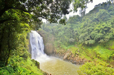 Scenic view of waterfall