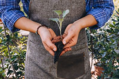 Anonymous female gardener holding in hands young green plant with ground while working in greenhouse and planting flowers