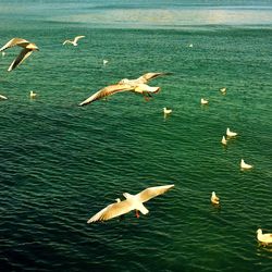 View of sea through water