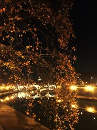 Close-up of illuminated fireworks against sky at night