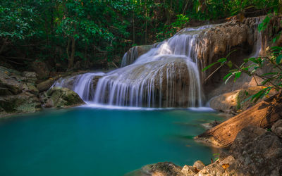 Scenic view of waterfall in forest