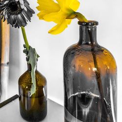 Close-up of yellow flower in glass vase