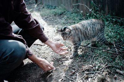 Low section of person with cat