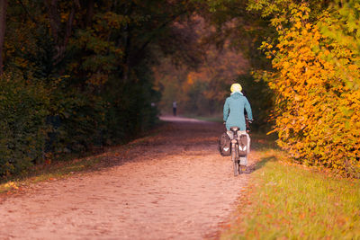 Rear view of man riding bicycle on road during autumn