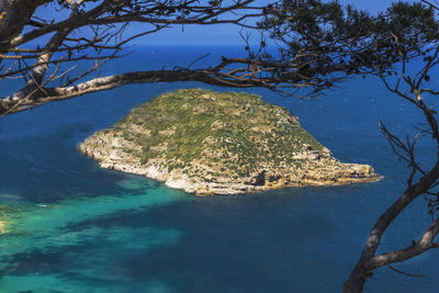 Aerial view of sea and trees against sky