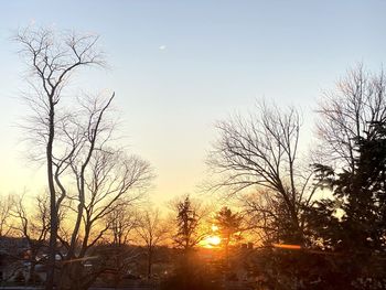 Silhouette bare trees against sky during sunset