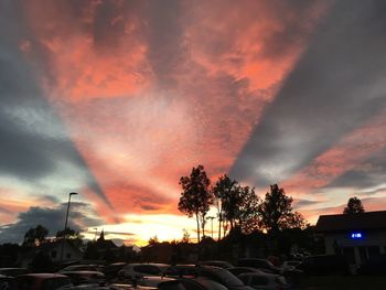 Silhouette trees against dramatic sky during sunset