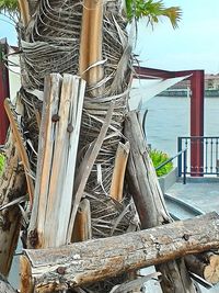 Close-up of wood on beach