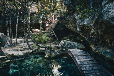 Footbridge over stream in forest