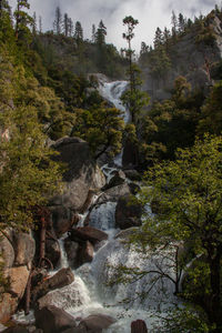 Stream flowing through rocks in forest